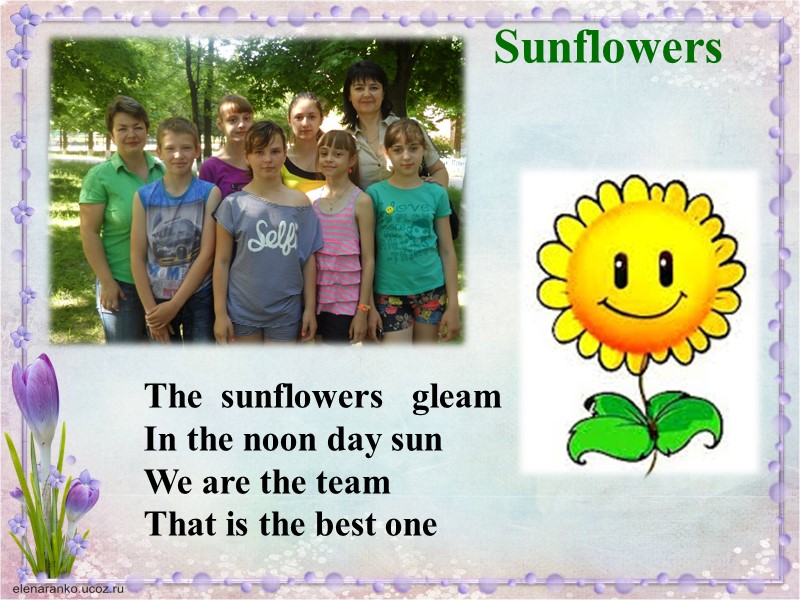 Sunflowers  The  sunflowers   gleam In the noon day sun We